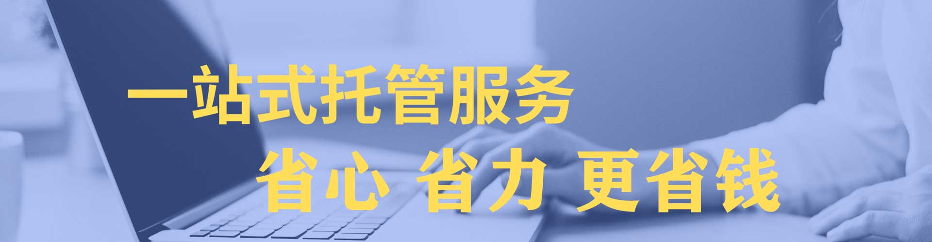 阜南竞价托管